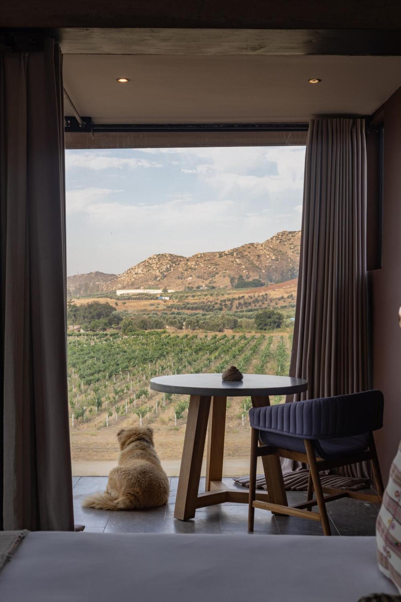 Bruma Wine Resort 장크트 고아르스하우젠 외부 사진
