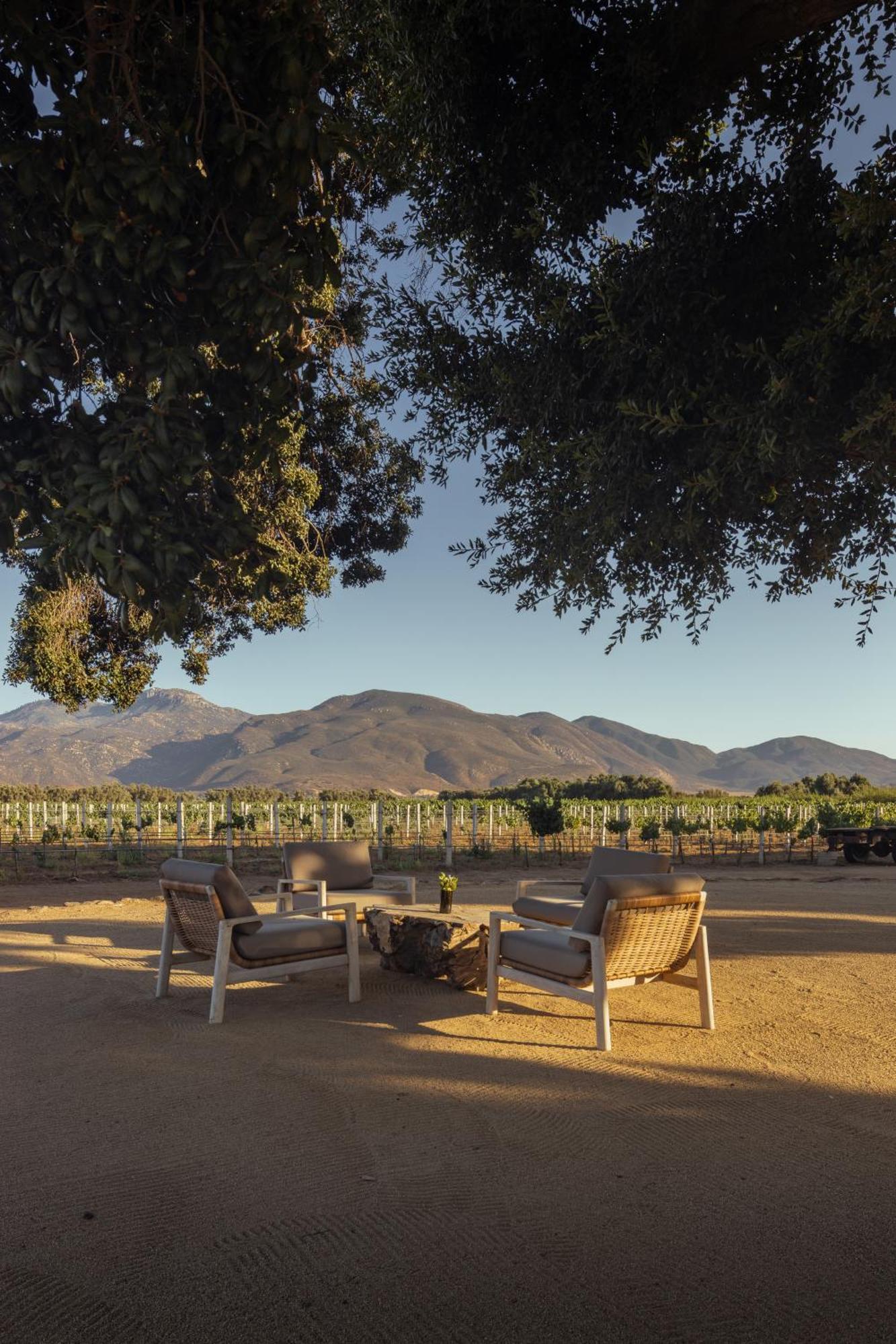 Bruma Wine Resort 장크트 고아르스하우젠 외부 사진