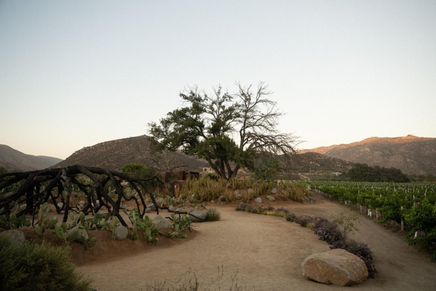 Bruma Wine Resort 장크트 고아르스하우젠 외부 사진